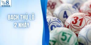 Bạch Thủ Lô 2 Nháy Là Gì? Bí Quyết Chơi Đề Đỉnh Cao