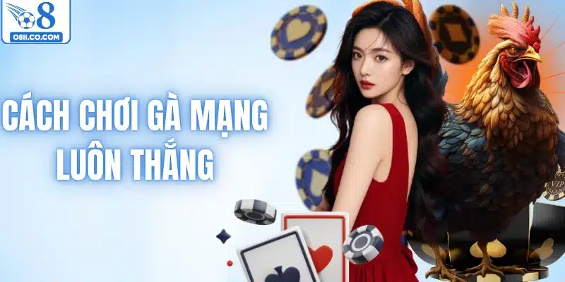 Cách Chơi Gà Mạng Luôn Thắng – Bật Mí Mẹo Chọn Chiến Kê