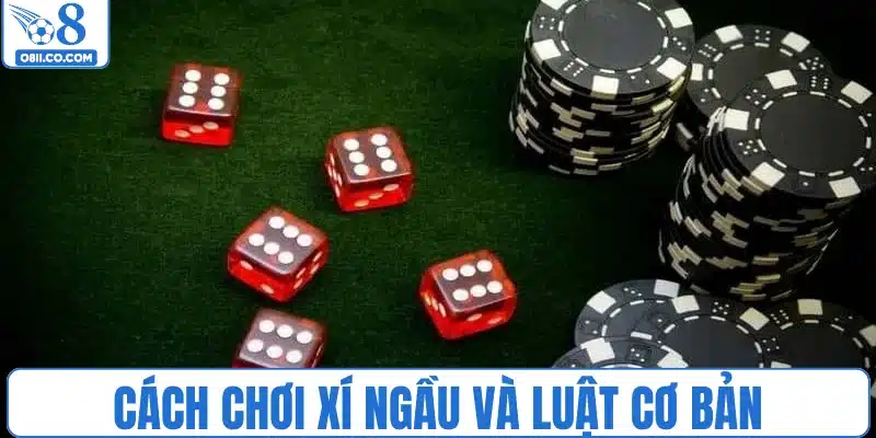 Cách chơi xí ngầu và luật cơ bản