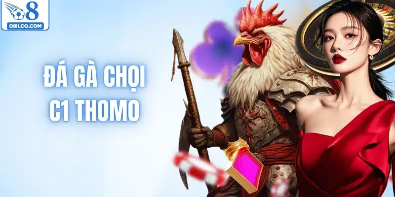 Đá Gà Chọi C1 Thomo – Khám Phá Giải Đấu Đỉnh Cao Số 1