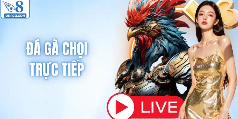 Đá Gà Chọi Trực Tiếp – Khám Phá Các Trận Đấu Trực Tiếpv