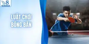 Luật Chơi Bóng Bàn – Tìm Hiểu Về Môn Thể Thao Hot Số 1 