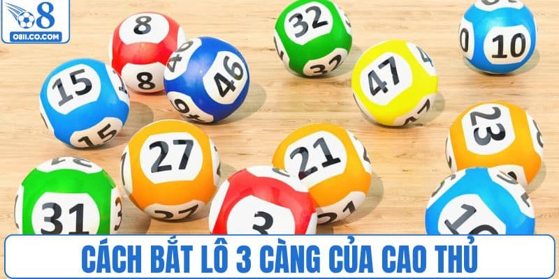 Phương pháp bắt lô 3 càng miền Bắc của cao thủ