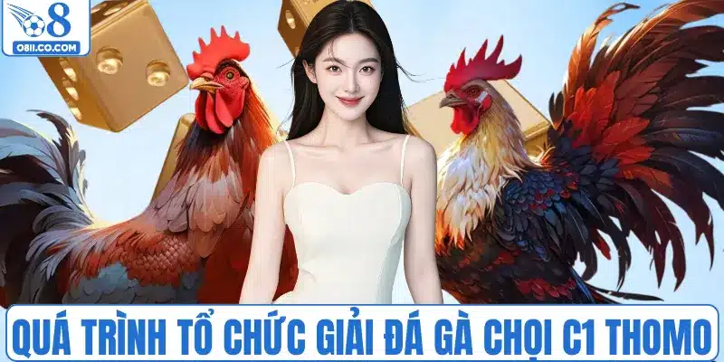 Quá trình tổ chức giải đá gà chọi C1 Thomo 