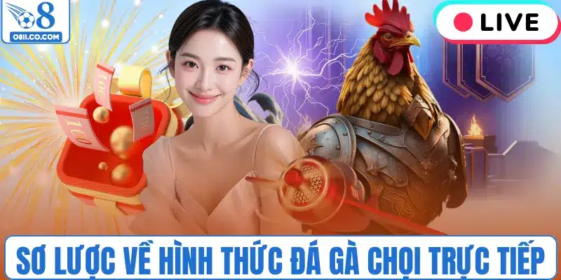 Sơ lược về hình thức đá gà chọi trực tiếp