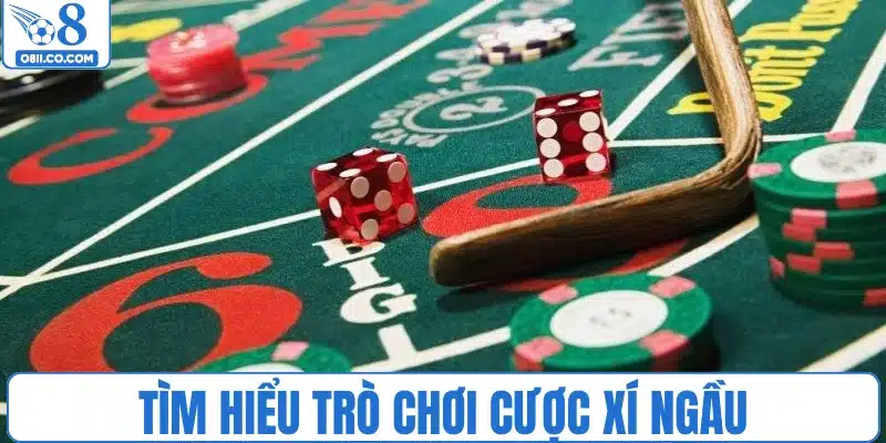 Tìm hiểu trò chơi cược xí ngầu