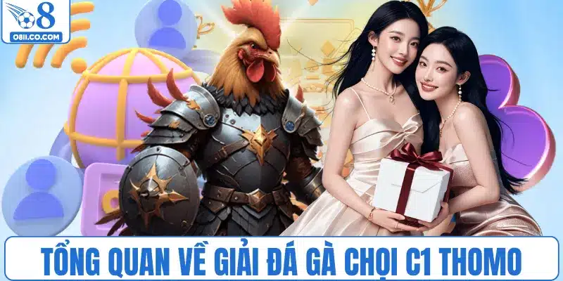 Tổng quan về giải đá gà chọi C1 Thomo