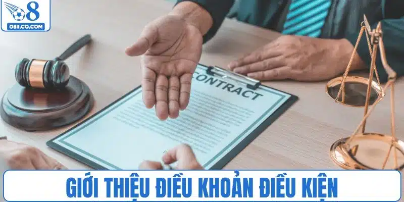 Tổng quát về chính sách điều khoản điều kiện